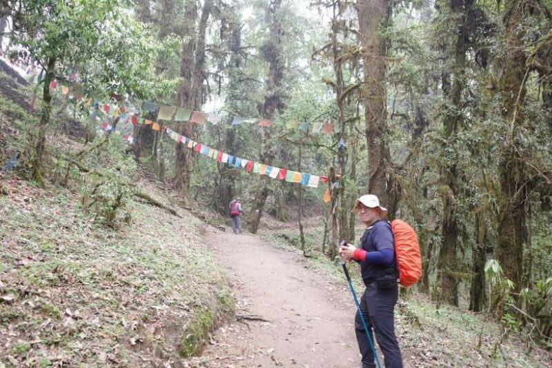 Pokhara: 4-Day Mardi Himal Base Camp Trek with Transfers - Final Thoughts: Is This Trek Right for You?