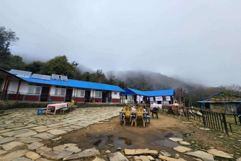 Pokhara: 4-Day Mardi Himal Trek - Day 4: From Low Camp to Siding Village and Back to Pokhara