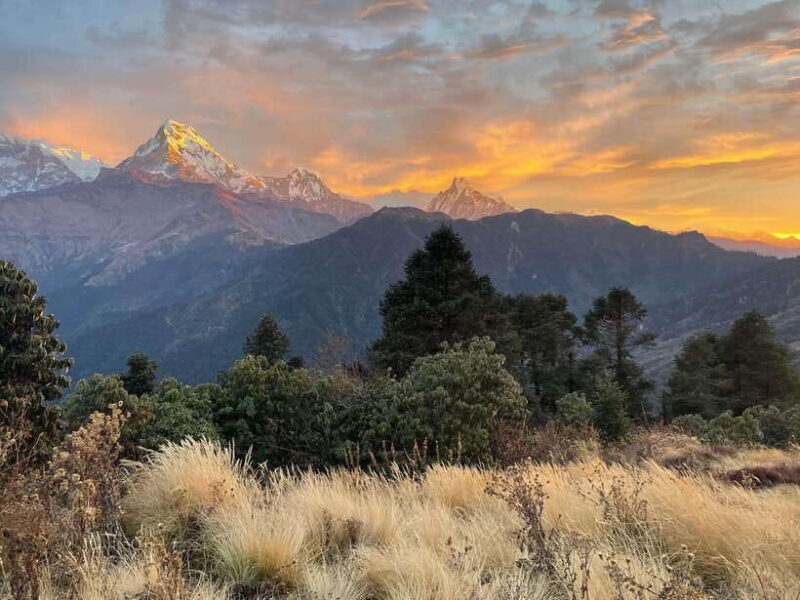 Pokhara: 4-Day Poon Hill and Ghandruk Guided Trek - Why This Trek Offers Great Value