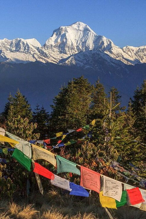 Pokhara: 4 Day Poon Hill Annapurna View Trek - Key Points