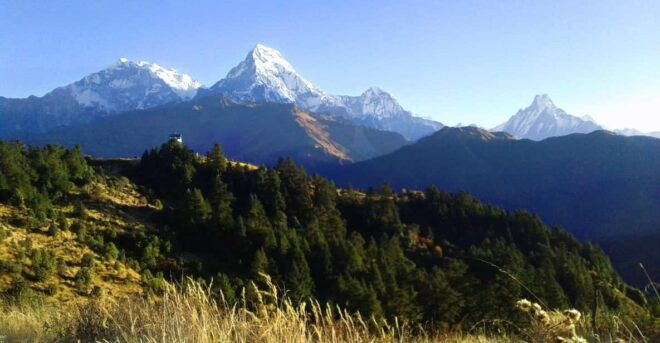 Pokhara: 4 Day Poon Hill Annapurna View Trek - Trekking Experience