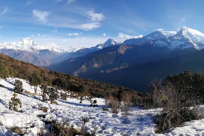 Pokhara: 4 Day Poon Hill Trek - Trip Inclusions