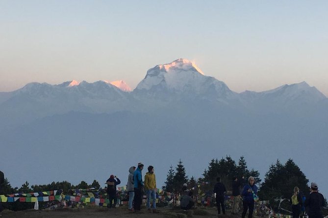 Pokhara: 4 Days Poon Hill - Ghandruk Village Trek - Meeting and Pickup Details