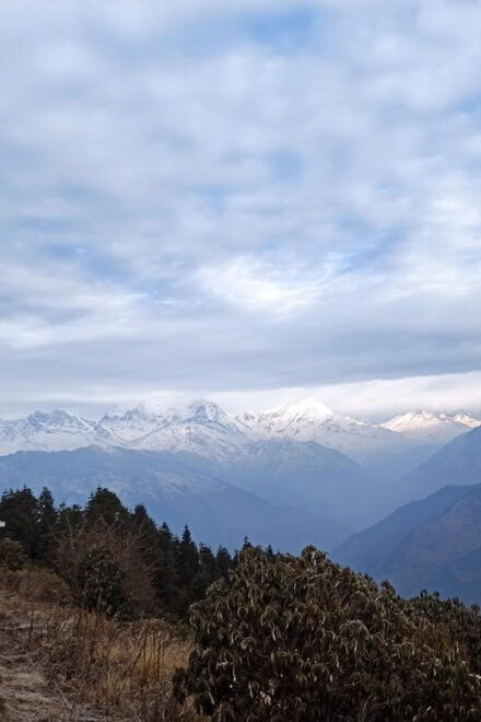 Pokhara: 4 Days Poon Hill Trek - Included Services