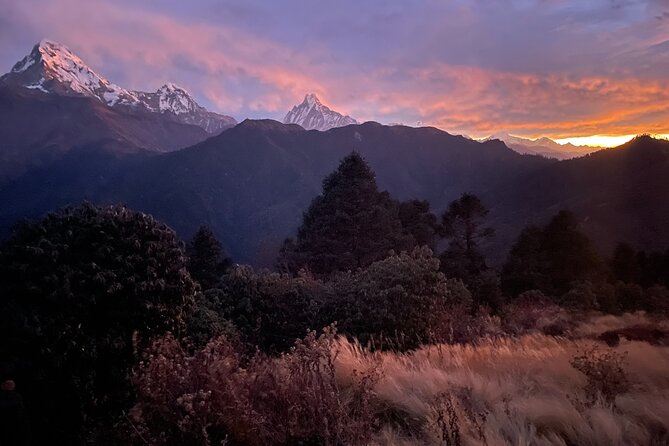 Pokhara: 4 Days Poon Hill Trek via Ghandruk Village - Trek Overview