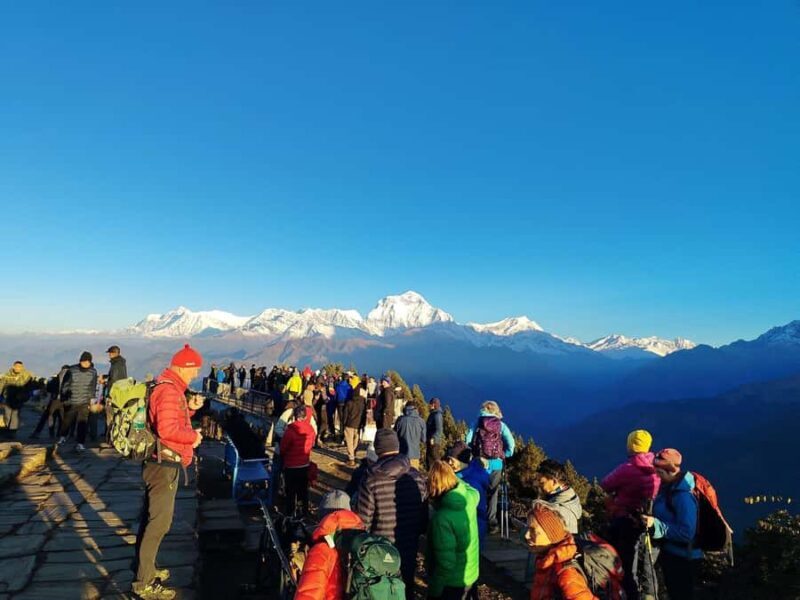Pokhara: 5-Day Ghorepani Poon Hill Trek - An In-Depth Look at the 5-Day Ghorepani Poon Hill Trek