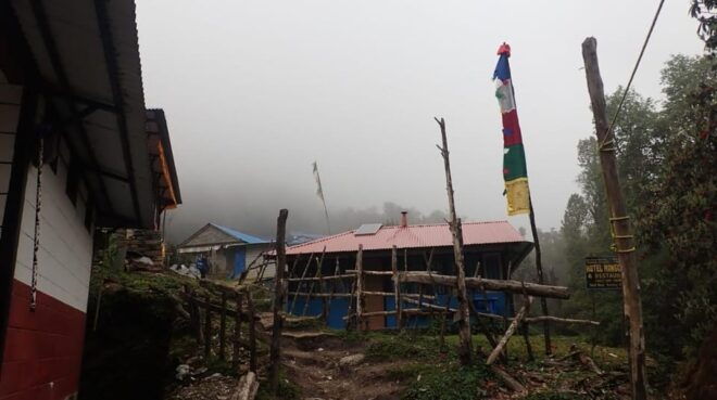 Pokhara: 5-Day Mardi Himal Base Camp Trek With Transfers - Included Services