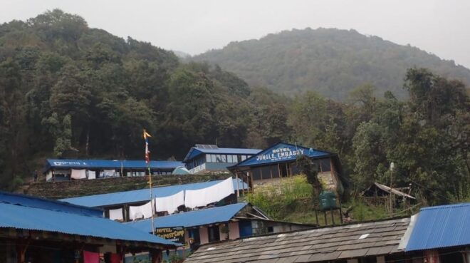 Pokhara: 5-Day Mardi Himal Base Camp Trek With Transfers - Important Considerations