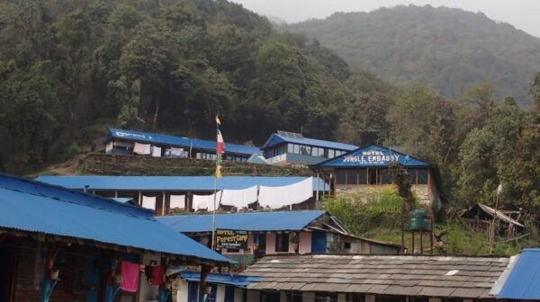 Pokhara: 5-Day Mardi Himal Base Camp Trek With Transfers - Safety Tips