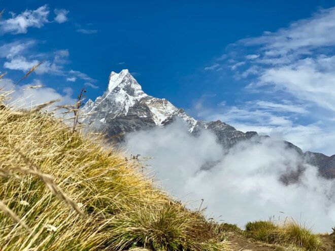 Pokhara: 5-Day Mardi Himal Trek - Accommodation and Meals During the Trek