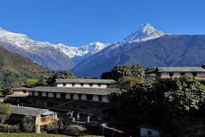 Pokhara 5 Day Private Trek to Mohare Danda - Day-wise Itinerary