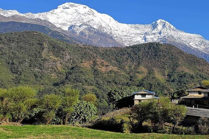 Pokhara 5 Day Private Trek to Mohare Danda - Questions