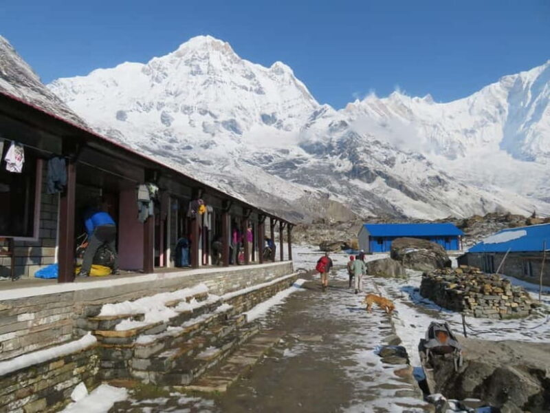 Pokhara: 5-Days Annapurna Base Camp Trek Guided Adventure - A Deep Dive Into the Experience