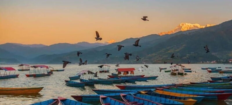 Pokhara: 5 Himalayan Viewpoints Guided Tour - Why This Tour Offers Great Value
