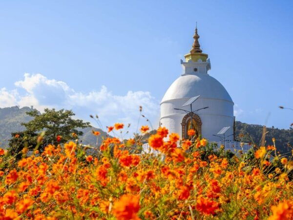 Pokhara: 5 Hours Day Hike to Peace Stupa and Boating - Questions You May Have