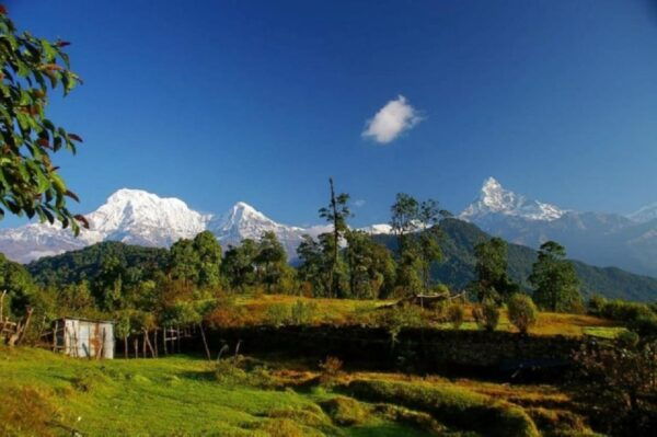 Pokhara: 6-Days Poonhill & Ghandruk Trek Via Hot-Spring - Day 3: Ghorepani - Poon Hill - Tadapani