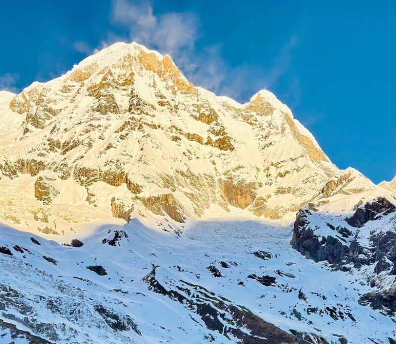 Pokhara: 7 Day Annapurna Base Camp Trek with Wildlife Tour - What It Means for You: The Real Value