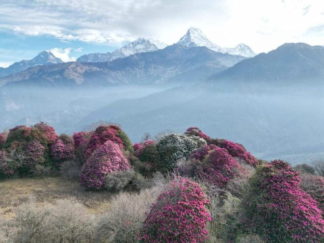 Pokhara: 7-Day Annapurna Base Camp Via PoonHill & Hot Spring - Whats Included