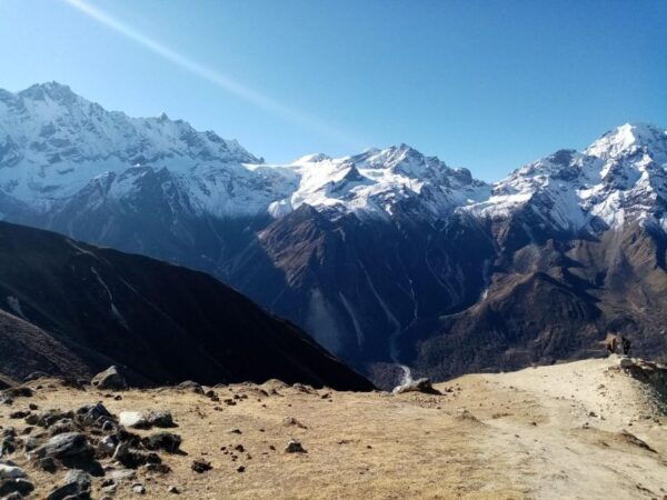 Pokhara: 7 Day Langtang Valley Trek - Scenic Drive From Pokhara to Syabrubesi