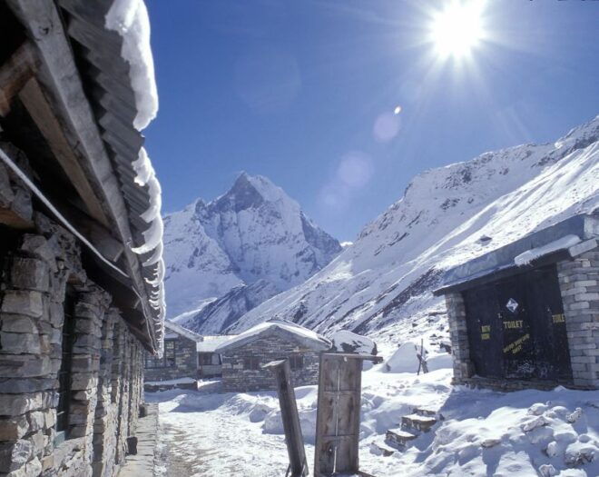 Pokhara: 7-Day Trek to Annapurna Base Camp and Hot Springs - Experience Highlights