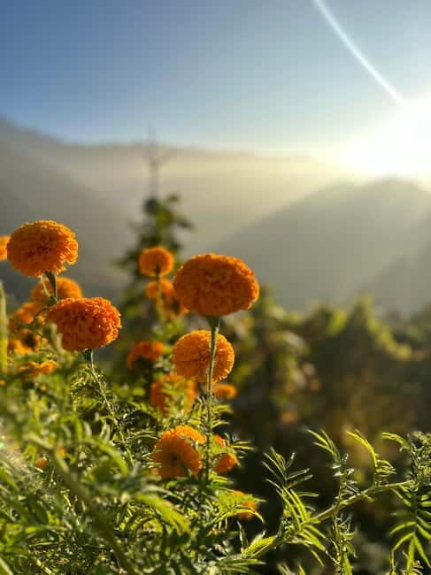 Pokhara: 9-Day ABC Guided Trek Via PoonHill & Hot spring - FAQ