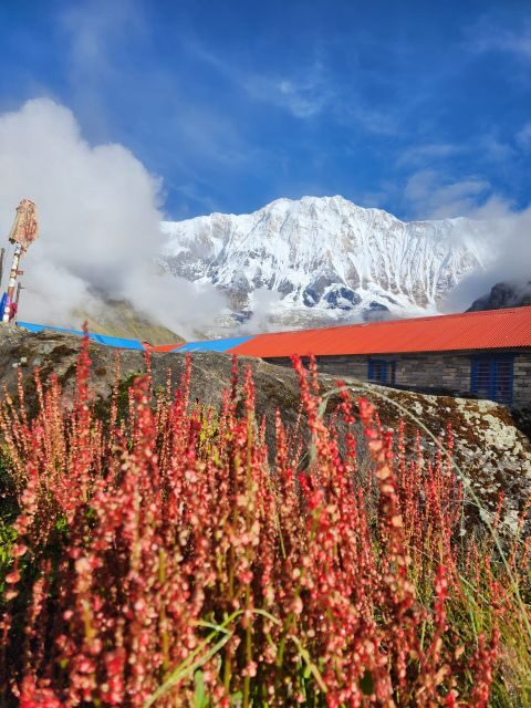 Pokhara: 9-Day Annapurna Base Camp Trek with Poon Hill - Authentic Experiences That Stand Out