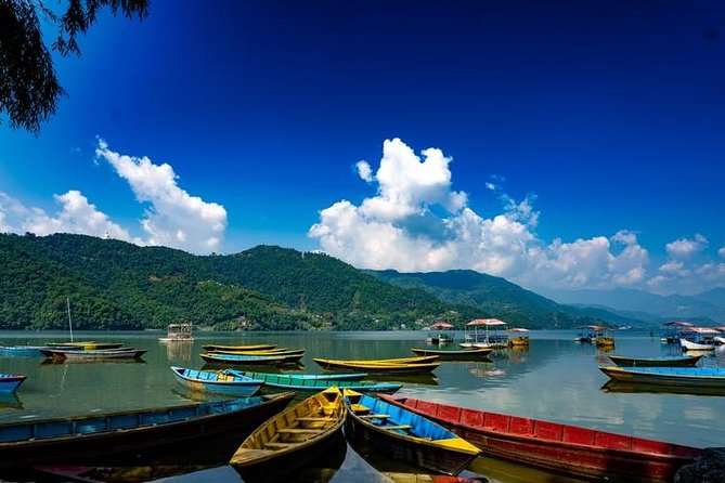 Pokhara (Adventurous City), Dhampus Gurung Village, Chitwan National Park Tour - Common Questions