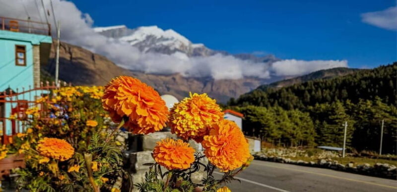 Pokhara: Amazing Day Hiking, Boating /Sunrise view tour - Discovering Gupteshwor Cave and Davi’s Fall