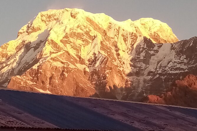 Pokhara: Annapurna Base Camp Trek Multi-Day Guided Tour - Reviews