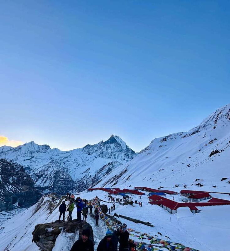 Pokhara: Annapurna Base Camp Trek & Wildlife Safari Tour - Who Will Enjoy This Tour?