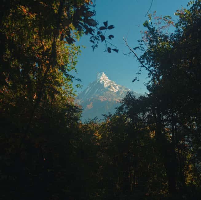 Pokhara: Annapurna Base Camp Trek with Meals and Guide-Nepal - Good To Know