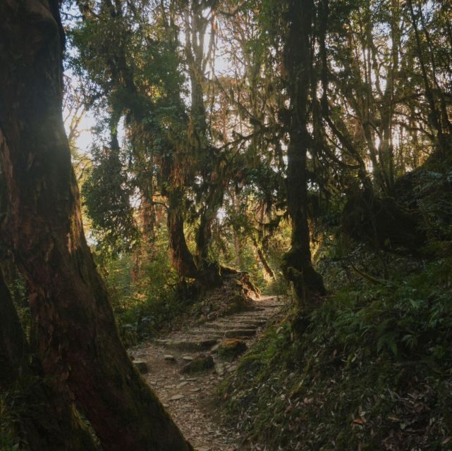 Pokhara: Annapurna Base Camp Trek with Meals and Guide-Nepal - The logistics and value of this trek