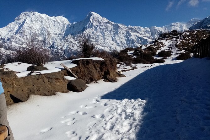 Pokhara: Annapurna Base Camp Very Short Trek - Overview and Inclusions