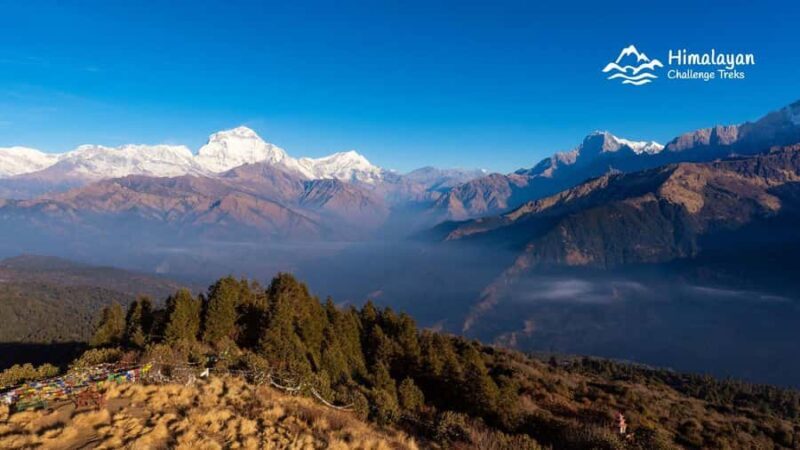 Pokhara: Annapurna Circuit Trek with Tilicho Lake - Cost and Value