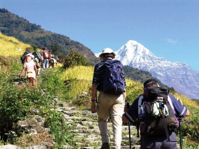 Pokhara: Annapurna Day Hike with Panoramic Views - Good To Know