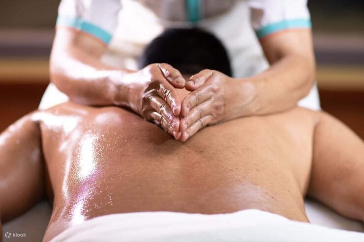 Pokhara: Ayurvedic Spa Retreat With Transfers - Pricing Details