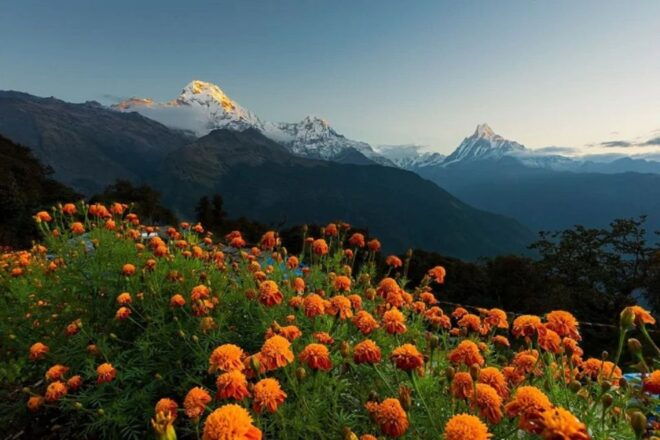 Pokhara: Buddhist Heritage Discovery Tour at Tibetan Camp - Stunning Views of Pokhara