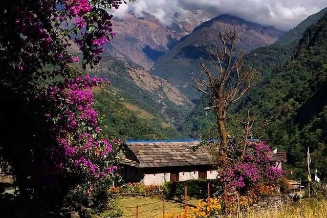 Pokhara: Day Hike at Annapurna Mountain Foothills - The Experience in Detail