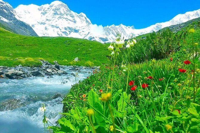 Pokhara: Day Hike at Annapurna Mountain Foothills - The Sum Up