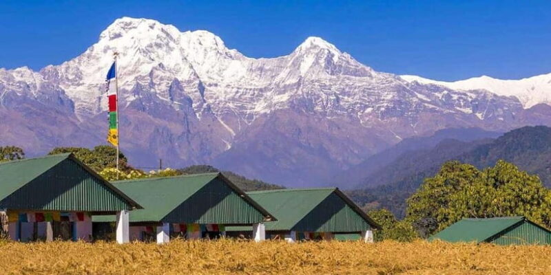 Pokhara : Day Hike To Australian Base Camp with Lunch - The Sum Up