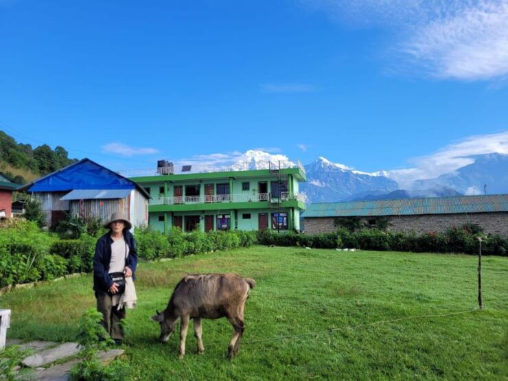 Pokhara: Day Hike to Australian Camp and Dhampus Village - Booking Details