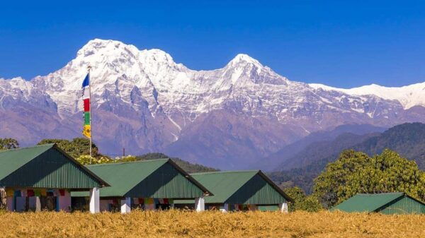 Pokhara: Day Hike to Australian Camp & Dhampus Village - Traveler Testimonials