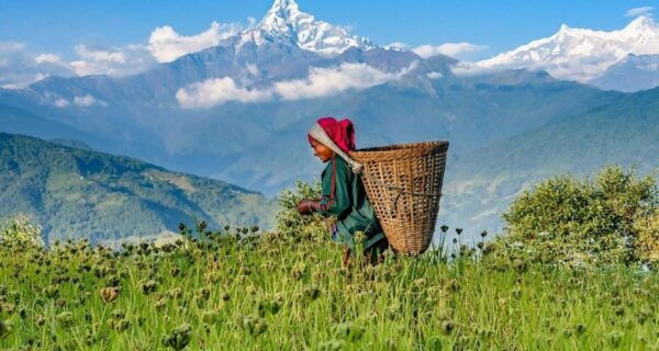 Pokhara: Day Hike With Annapurna Himalayas Rang View Tour - Interacting With the Gurung Community