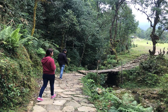 Pokhara: Day Hiking Form Dhampus to Australian Camp - Pickup and Meeting Details