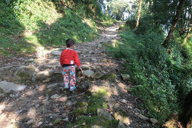 Pokhara: Day Hiking Form Dhampus to Australian Camp - Tour Highlights