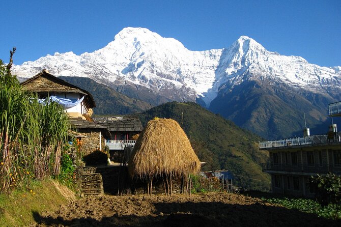 Pokhara: Dhampus Easy Trek for Families With Youngkids 2 Day Tour - Trek Overview