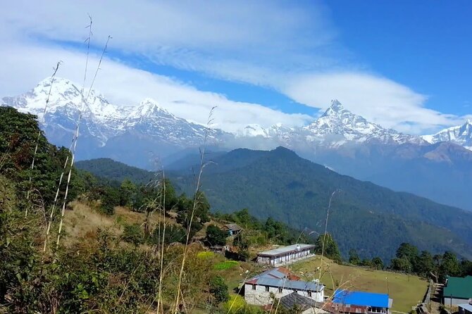 Pokhara: Dhampus Easy Trek for Families With Youngkids 2 Day Tour - Common Questions