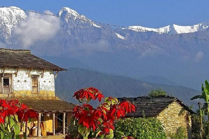 Pokhara: Dhampus Easy Trek for Families With Youngkids 2 Day Tour - The Sum Up