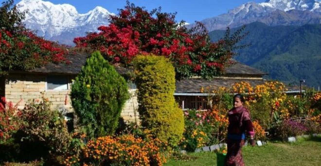 Pokhara: Dhampus Village Car Tour for Scenic Himalayas - Cultural Experience in Dhampus