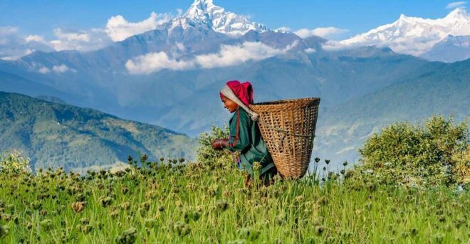 Pokhara: Dhampus Village Guided Day Tour - Lap on Mountain - Highlights and Exploration